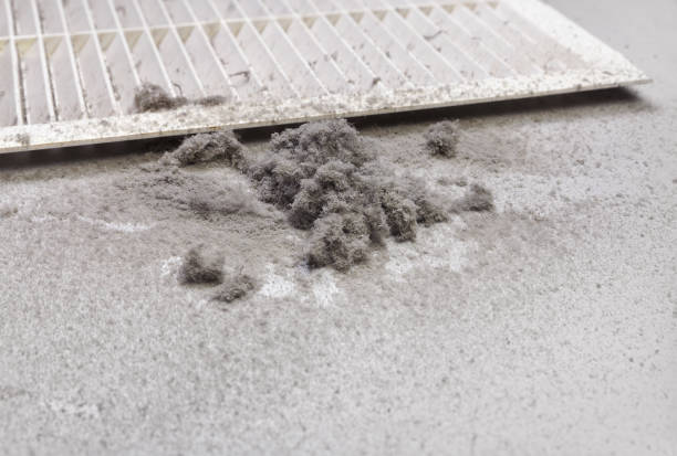 Best Local Air Duct Cleaning Services  in Hawi, HI