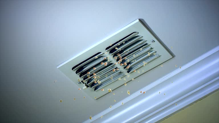Best Residential Air Duct Cleaning  in Hawi, HI