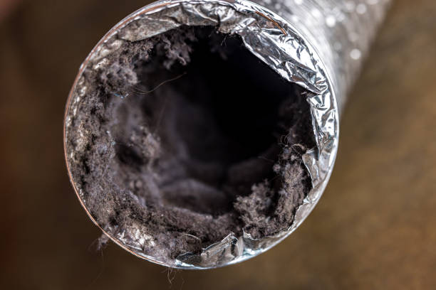 Best Air Duct Cleaning Near Me  in Hawi, HI