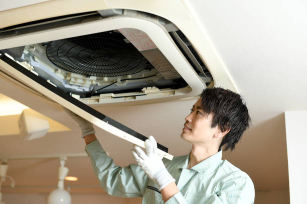 Best HVAC System Cleaning  in Hawi, HI