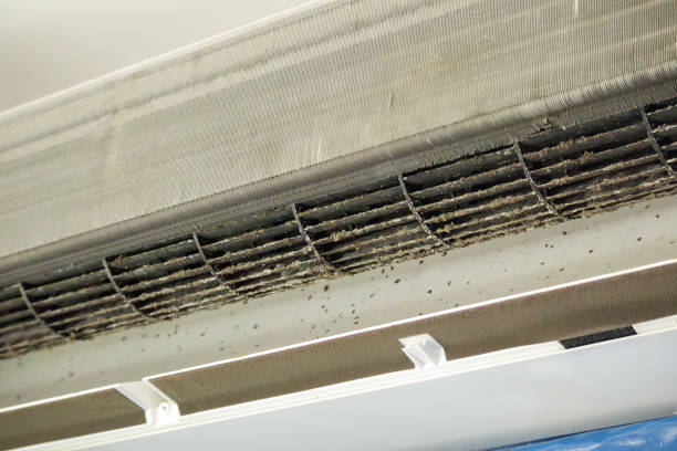 Best Air Duct Sanitizing Services  in Hawi, HI