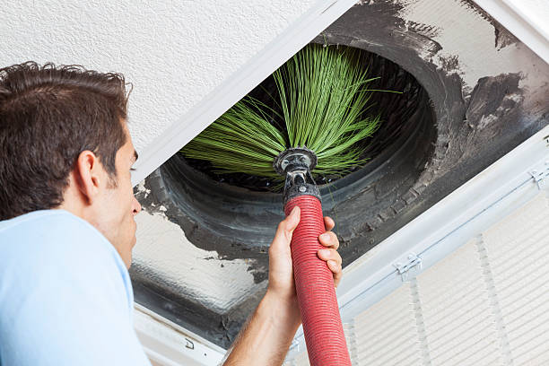Best Duct Cleaning Specialists  in Hawi, HI